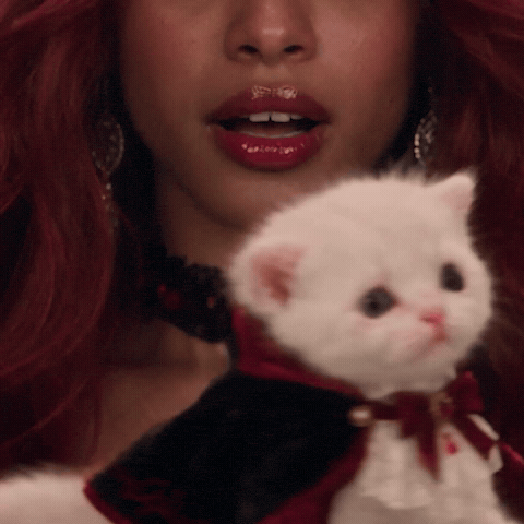 Cat Halloween GIF