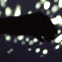 animated gif GIF by Liaizon Wakest