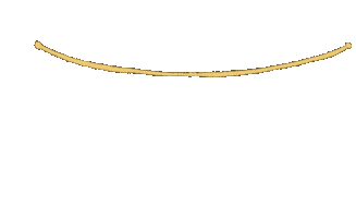 New Year Argentina Sticker