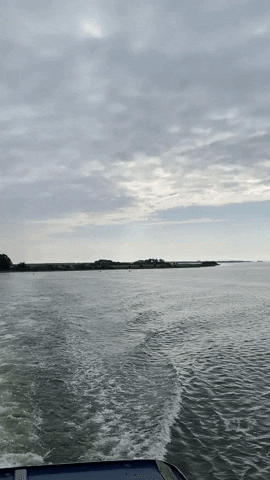 GIF by Gutes aus Vorpommern