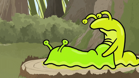 https://media0.giphy.com/media/WehqFDVpefw64/giphy.gif