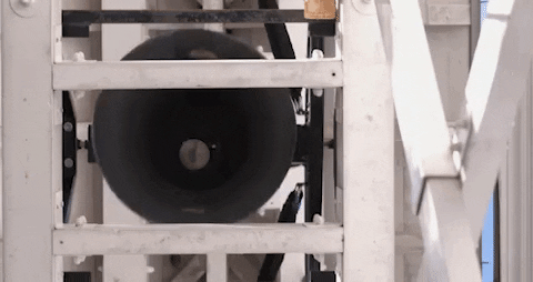 Ring The Bell Dog GIF - Ring The Bell Dog French Bulldog - Discover & Share  GIFs