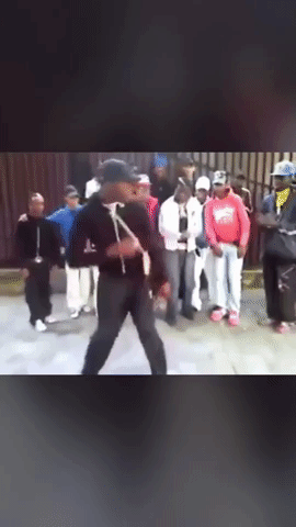 Logobi Dikay GIF