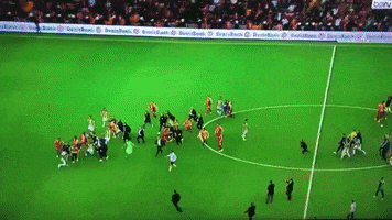 fight turkey GIF by nss sports