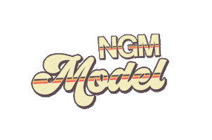 NGM Modeling Sticker