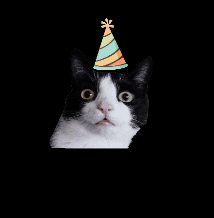 GIF by TaartvanManja