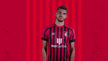 Celebrating Fix Up Look Sharp GIF by AFC Bournemouth