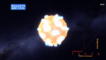 diplodocus  GIF
