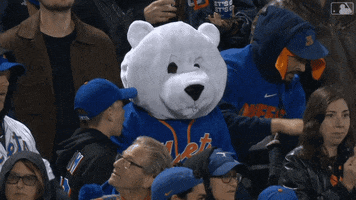 Polar Bear Fan GIF by New York Mets