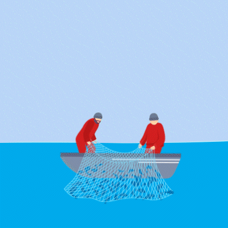 Oceana Perú GIF