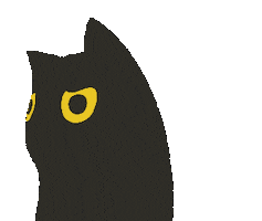 Cat What Sticker
