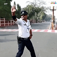 Cop Stop And Go GIF