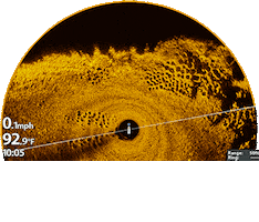 Humminbird Fishing Sticker