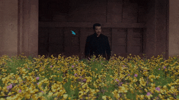 Flowers GIF by cosmosontv