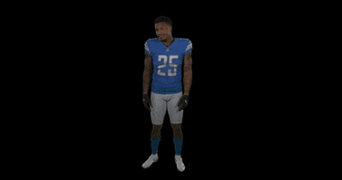 Will Harris No GIF by Detroit Lions