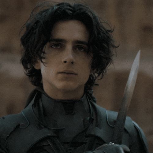 Protect Timothee Chalamet GIF by Dune Movie - Find & Share on GIPHY