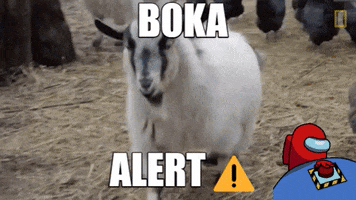 Boka GIF