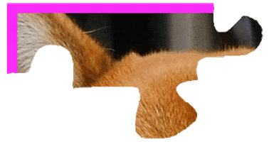 Puzzle Shiba Sticker