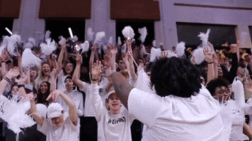 Boss Win GIF by Wofford Athletics
