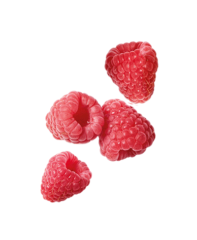 Fruit Raspberry Sticker by IMA - Influencer Marketing Agency