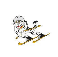 DSV - Deutscher Skiverband Sticker