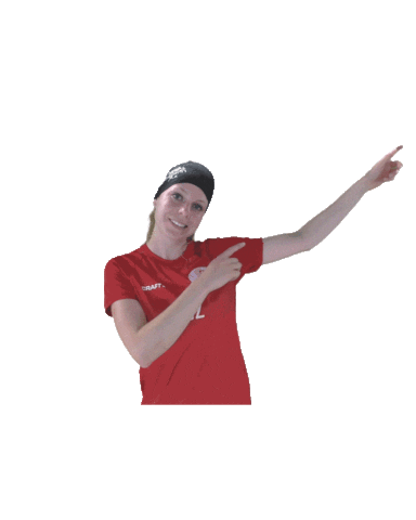 UHC Visper Lions Sticker