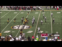 Mizzou GIF