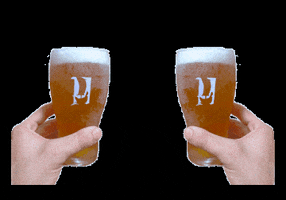 beer cheers GIF by Cerveza Harbardr