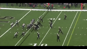 Nfl GIF