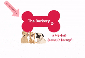 Dog Yes GIF by thebarkery