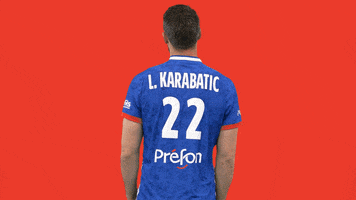 Luka Karabatic Ffhandball GIF by Fédération Française de Handball