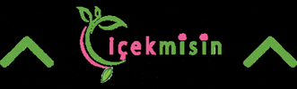 cicekmisincom GIF