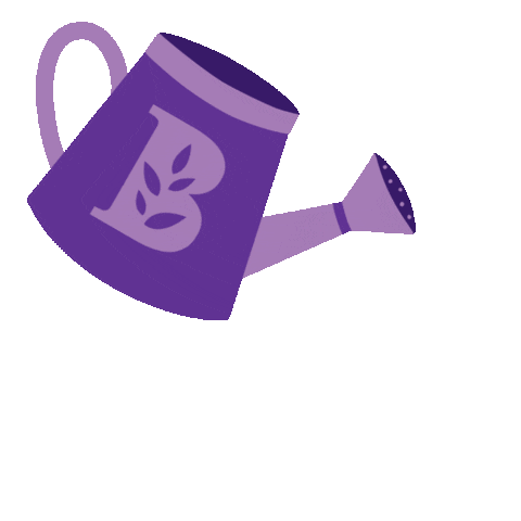 Flower Grow Sticker By Bachman'S Floral, Gif