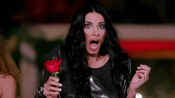 The Bachelor Wow GIF by Alpha TV