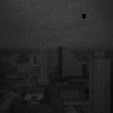 yulikamurakami black and white night moon lights GIF