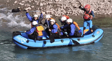 200.gif?cid=fc005b08162bc2d55b86193e4d6cdcfb6c022e1ab825b3da&rid=200.gif&ct=g
