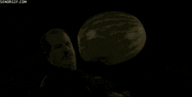 watermelon GIF by Cheezburger