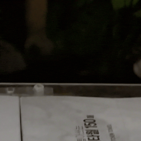 도마뱀 GIF
