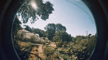 35Mm GIF