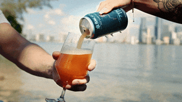 Small Business Beer GIF by Biscayne Bay Brewing