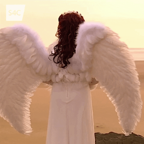 Angel Wings GIF by S4C