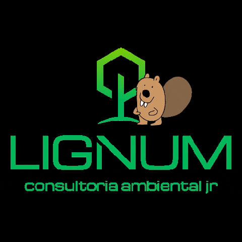 lignum meaning, definitions, synonyms