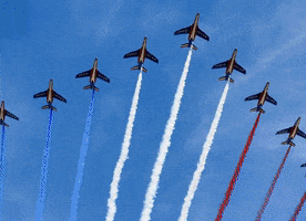 Reprenons Notre France GIF