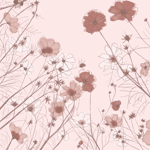 Pink GIF