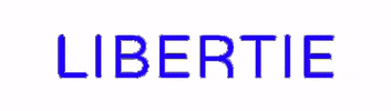 boutiquelibertie GIF