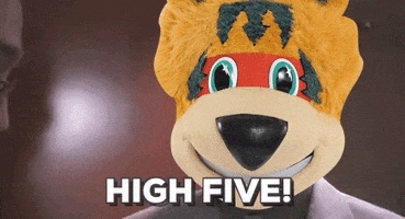 High Five National Hockey League GIF by FOX Sports North/Wisconsin