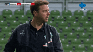 Bundesliga Reaction GIF by MolaTV