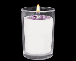 Bee Lucia Wellness Co. GIF