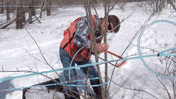 maple syrup scifri GIF by Science Friday