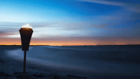Animated GIF - Find & Share on GIPHY